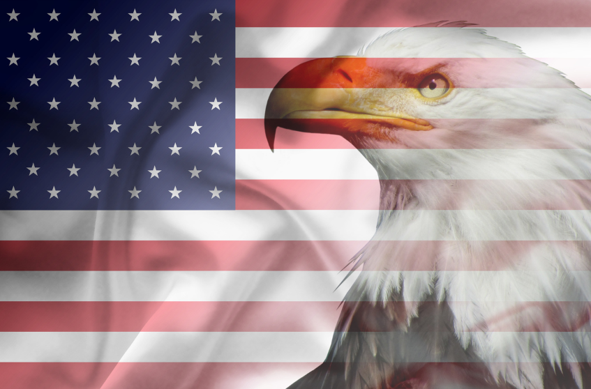 American flag with bald eagle in background